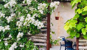 ROSTAGNI1834: VILLA WITH 2 APTS AND POOL IN THE BAROLO REGION - Foto 3