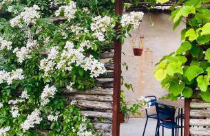 ROSTAGNI1834: VILLA WITH 2 APTS AND POOL IN THE BAROLO REGION - Foto 3