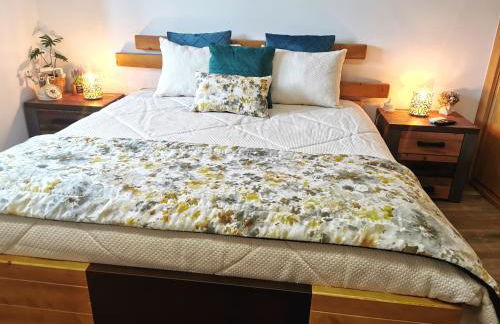 Casa do Penedo Castle House - Foto 36