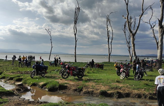 Daisy Cottages Kenya - Foto 14