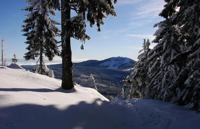 Quaint Holiday Home in Železná Ruda near Ski Area - Foto 38