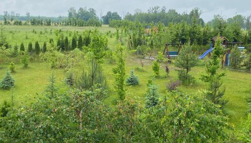 Na zielonej łące... - Foto 4, Garden, Garden view