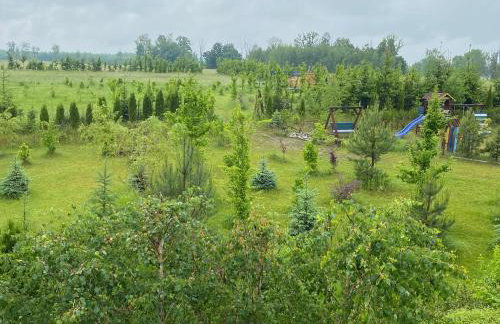 Na zielonej łące... - Foto 4