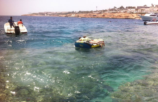 Shark Bay Oasis - Foto 39