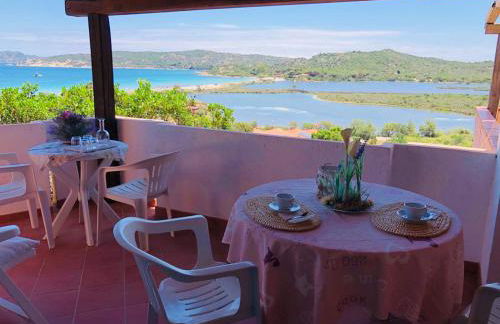 Bilocale degli Oleandri vista mare Porto Taverna - Foto 10