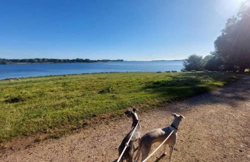 Luxury Victorian Hayloft barn self contained - Photo 36