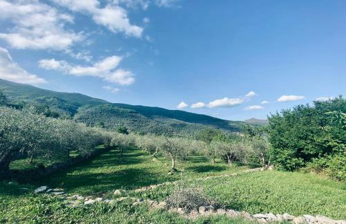 Casa vacanze gli ulivi - Foto 45