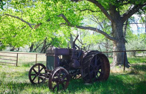 Rustic Hideaway - Foto 8