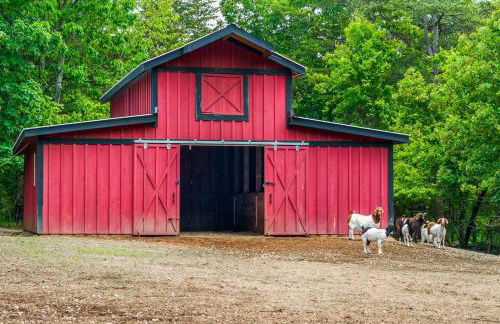 Faith Family Farmhouse on Farm in Mentone, Alabama - Foto 10