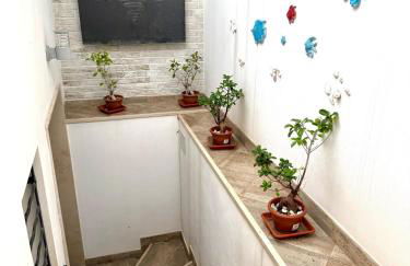 Cento Passi dal Mare - Foto 11