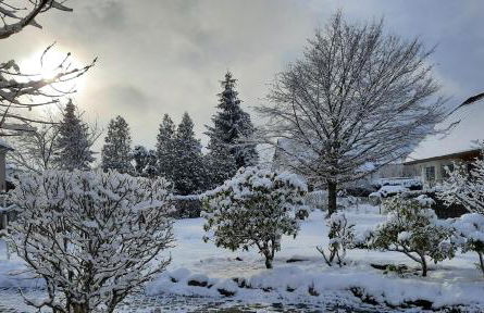 Ferienwohnung Hellriegel - Foto 33