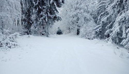 Sowiogórska Ostoja - Foto 3