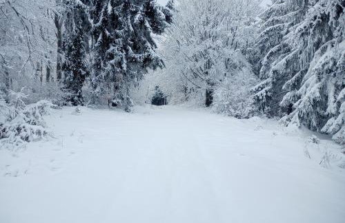 Sowiogórska Ostoja - Foto 3