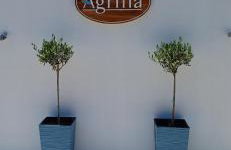 Agrilia - Foto 47