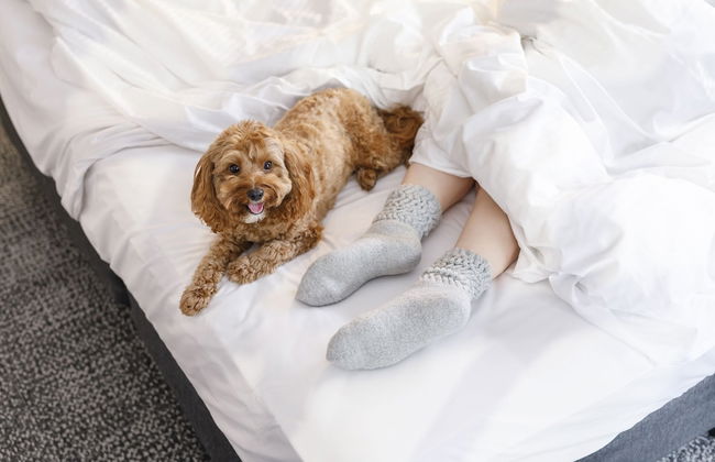 Quest Robina - Photo 31