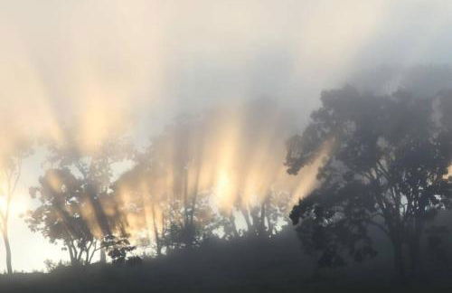 Chalés do Mato Dentro - Photo 39