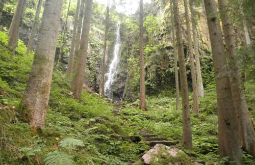 Ferienwohnungen Vogt's Libding - Photo 61