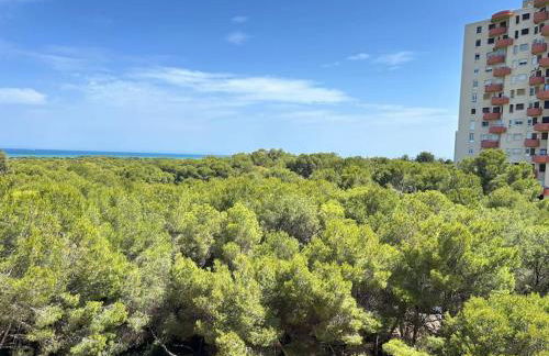 District Key - Saler, Av Gola Puchol 14 - Photo 17