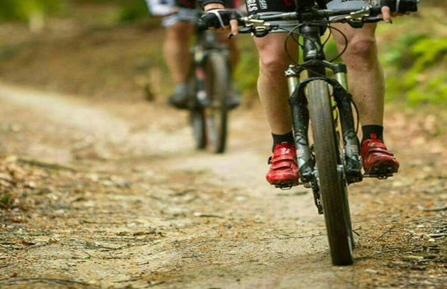 Holiday Home in Somme-leuze With Pool & Sauna - Foto 39