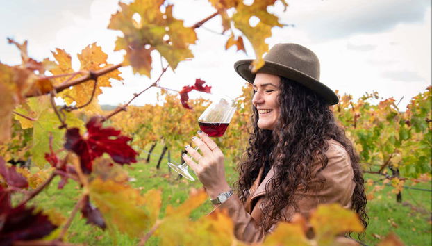 Un buon calice di vino rosso nei vigneti di Margaret River