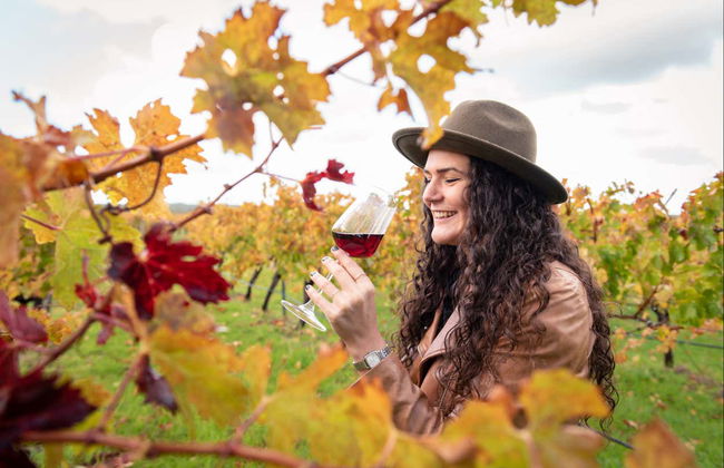 Tour gastronomico di Augusta Margaret River - Foto 2