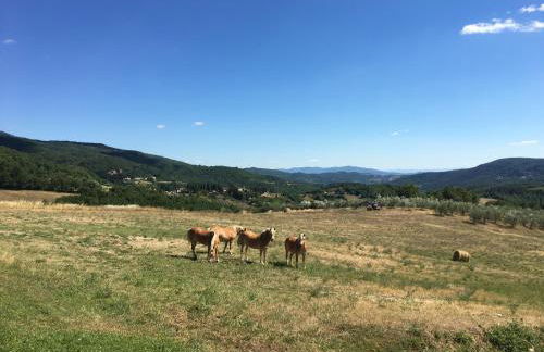 Villa Poggio dei Cipressi - Foto 3