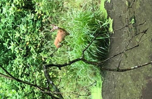 Apartment Urbane Remise by Interhome - Foto 28