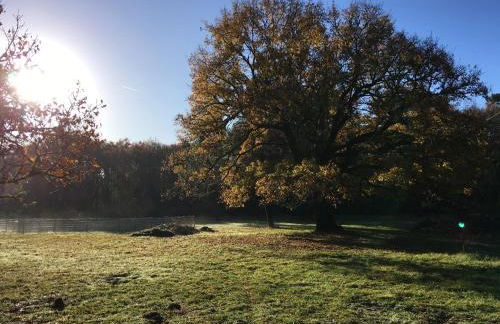 LES VACANCES AUX CERCINS - Foto 34