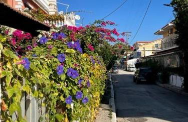 Dina Apartment - Foto 38