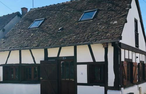 Les Mésanges - Foto 1