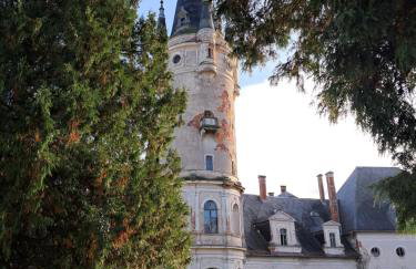 Przy pałacu - Foto 31