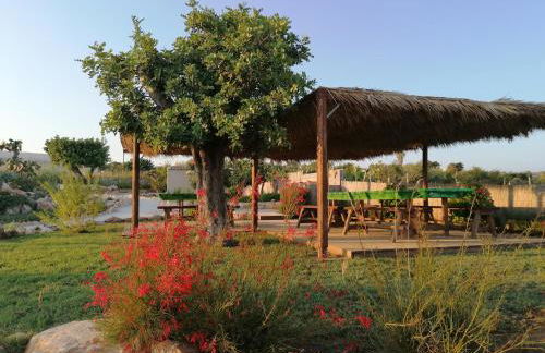 CASADORATA buen retiro vista mare - Foto 19