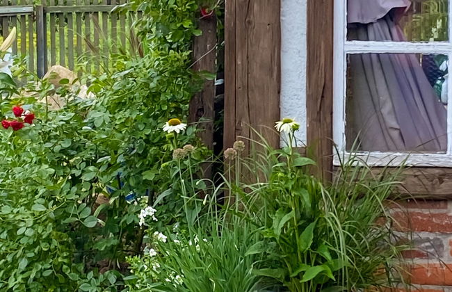 2 bedroom House in Lwówek Śląski with garden and terrace - Photo 28