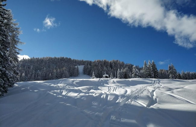 Mascherhof - Foto 41