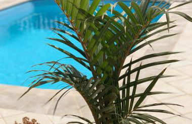 FRONTLINE VILLA 25, Modern Coastal Design with Amazing Views - Foto 38