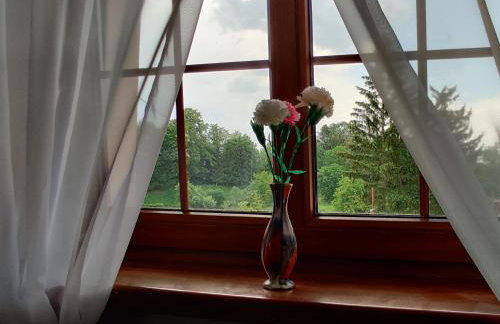 Agroturystyka Szalejów 117 - Foto 20