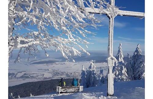 Sonnenblick Comfortable holiday residence - Photo 29