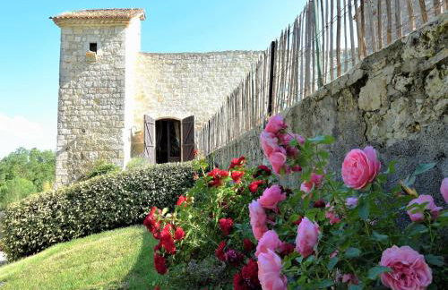 Castle 12th century with private pool close to Agen - Foto 15