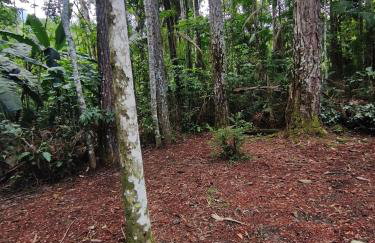 Cabana Eucalipto - Photo 23