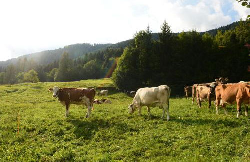 La Casa al Noce - Foto 57