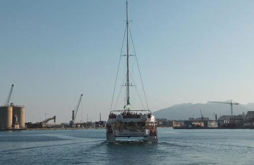 NEW MARITIMO - Photo 65