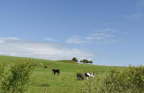 Pine Lodge - Uk30007 - Foto 24