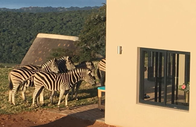 JBay Zebra Lodge - Photo 70
