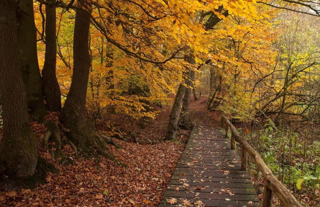Chalet in Ootmarsum on Kuiperberg - Foto 28