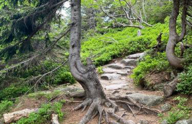 Apartament Zielone Wzgórze 2 - Foto 60