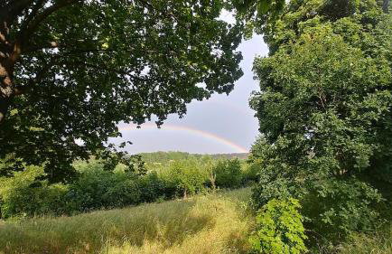 Dom wakacyjny nad jeziorem Zajączkowskim - Foto 37