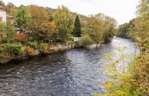 Cook's Flat - Foto 37