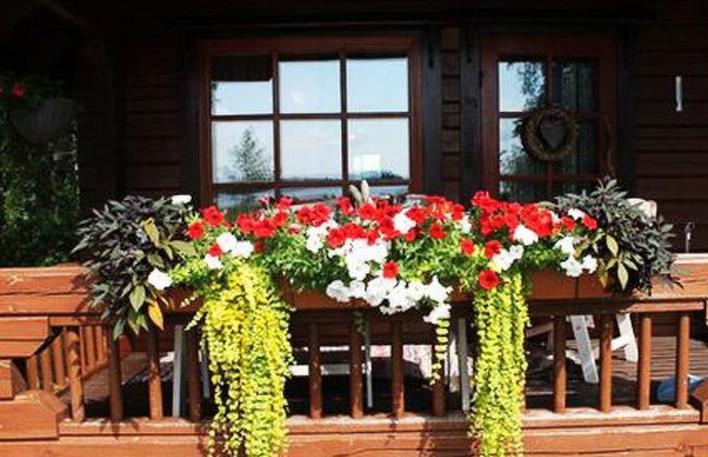 Kuivajärven huvilakoti - Foto 39