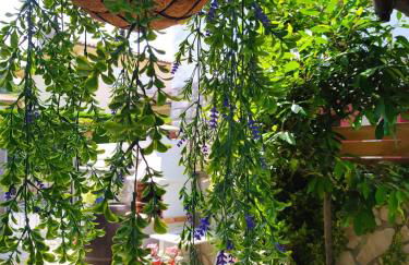 LA GRANDA DE LA CONCHA - Foto 31