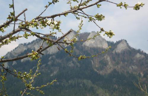 Apartamenty u Grażyny - Foto 28